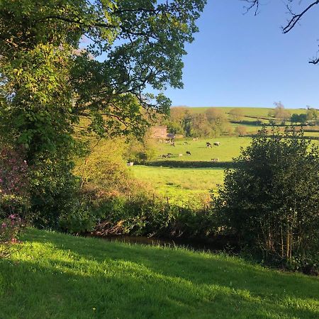 Bow Mill Farm Bed & Breakfast ทอตเนส ภายนอก รูปภาพ